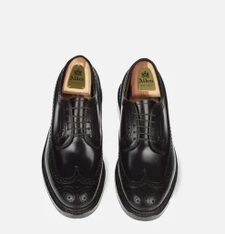 Homme ALDEN SHOE CO Chaussures<975 - Long Wing Cordovan
