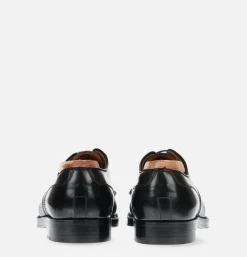 Homme ALDEN SHOE CO Chaussures<2161 - Straight Tip Blucher Cordovan