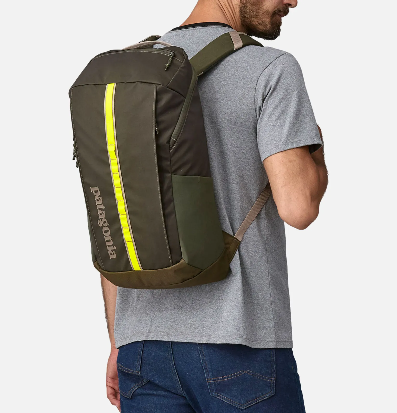 PATAGONIA ACCESSORIES Sacs À Dos<Black Hole 25l Pineneedlegreen