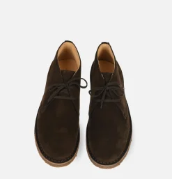 Homme ASTORFLEX Chaussures<Chaussures Greenflex Dark Chestnut