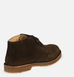 Homme ASTORFLEX Chaussures<Chaussures Greenflex Dark Chestnut