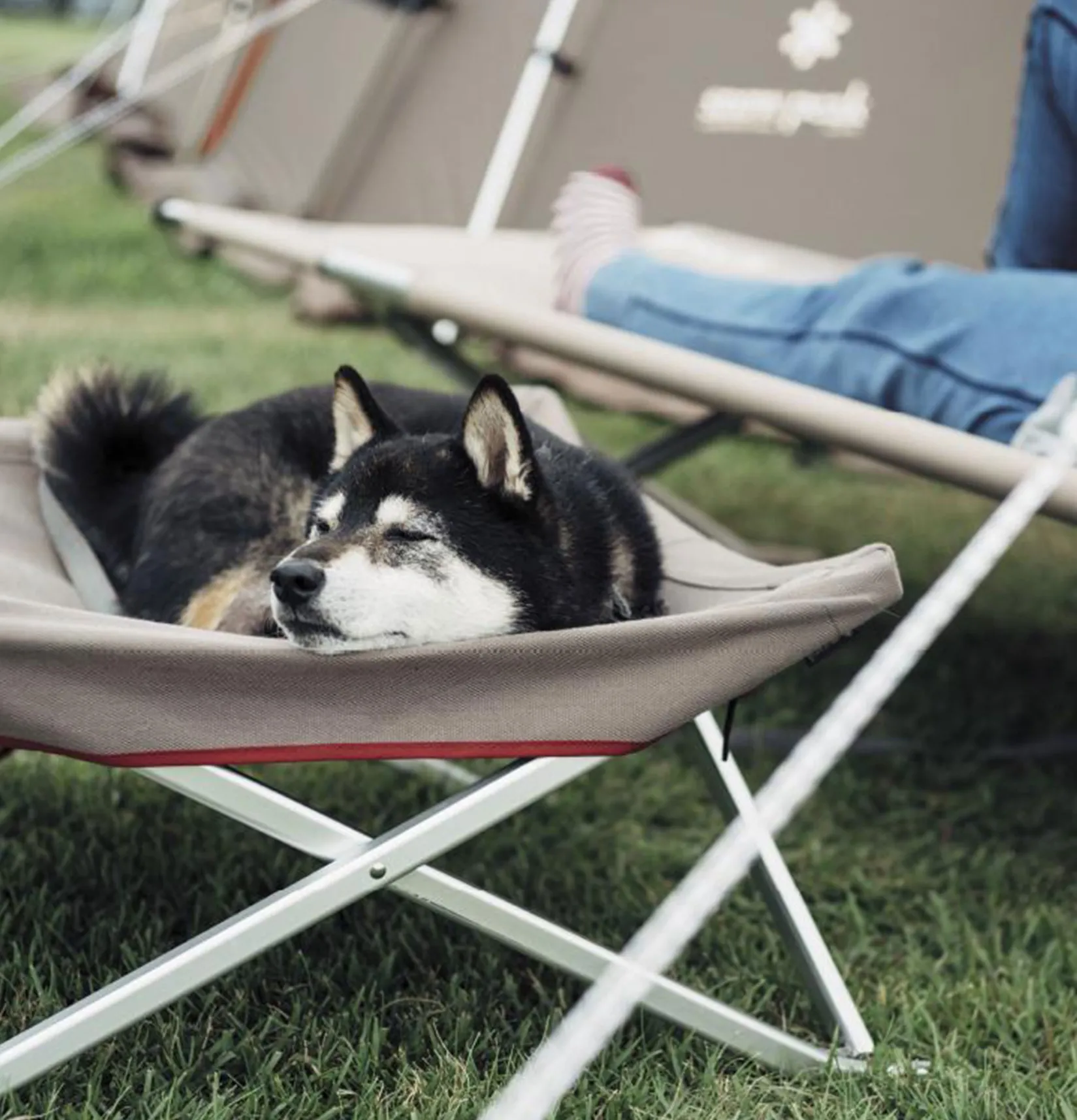 SNOW PEAK Maison|Outdoor<Dog Cot Grey