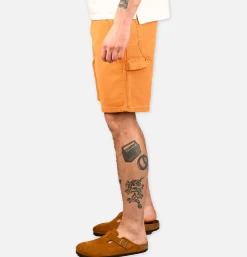 STAN RAY USA Shorts<Painter Short Driftwood Duck