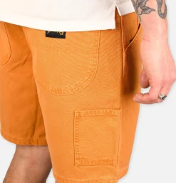 STAN RAY USA Shorts<Painter Short Driftwood Duck