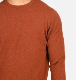 WILLIAM LOCKIE Pulls & Cardigans<Pull Col Rond Tiger