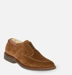 Homme ALDEN SHOE CO Chaussures<702R - Plain Toe Derby Snuff Suede