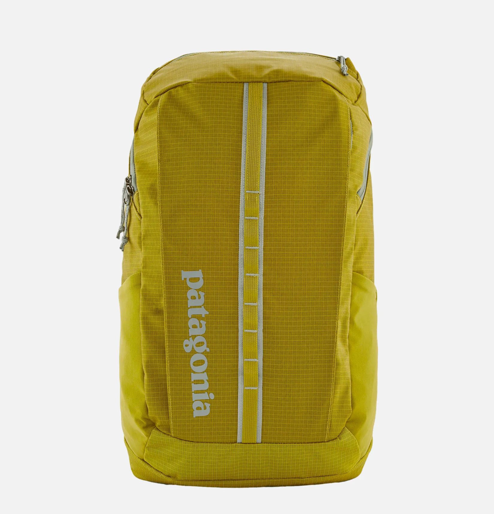PATAGONIA ACCESSORIES Sacs À Dos<Sac Black Hole Pack 25l SHRG