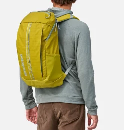 PATAGONIA ACCESSORIES Sacs À Dos<Sac Black Hole Pack 25l SHRG