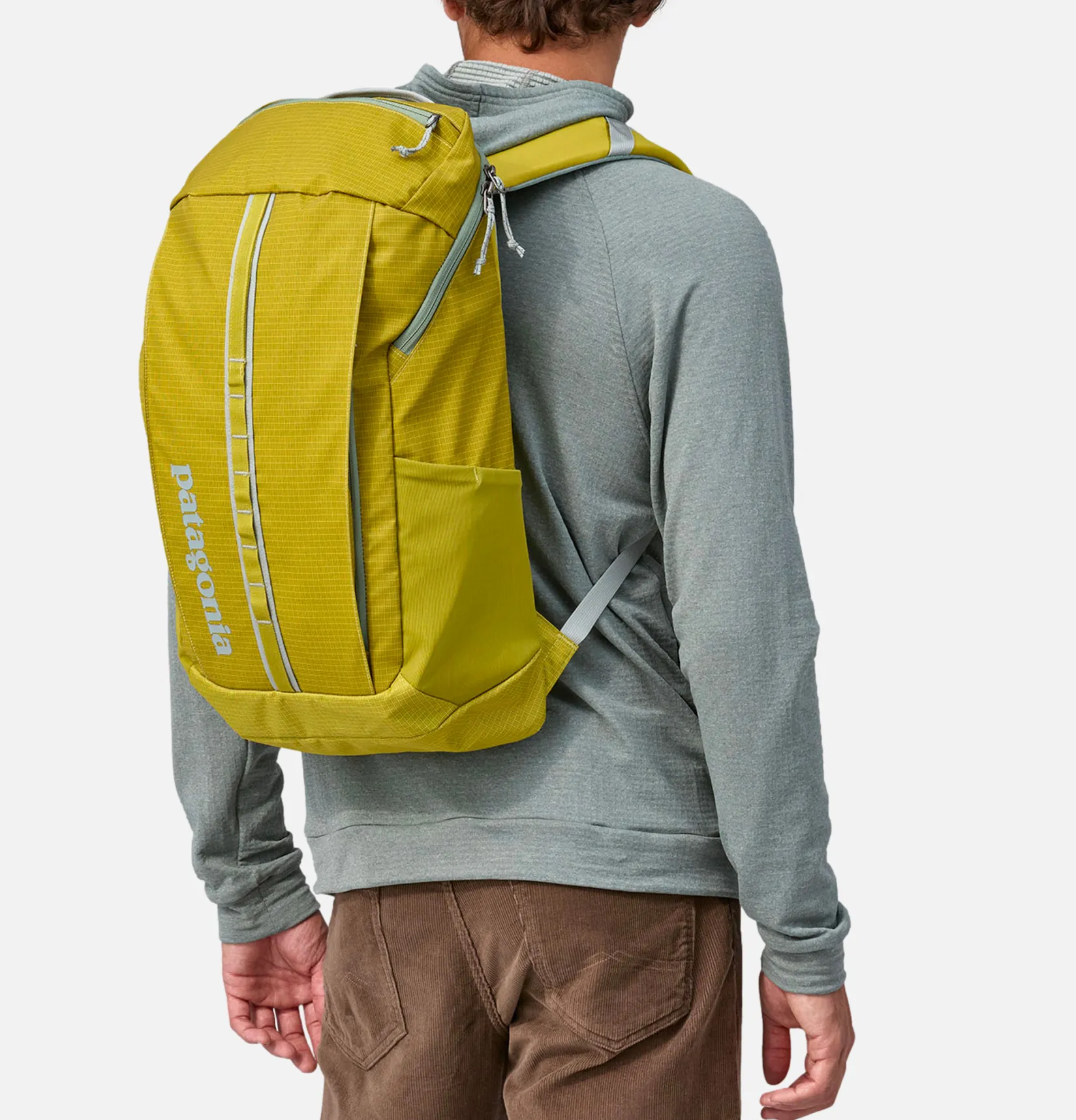 PATAGONIA ACCESSORIES Sacs À Dos<Sac Black Hole Pack 25l SHRG