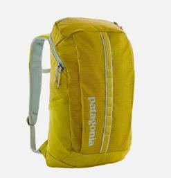 PATAGONIA ACCESSORIES Sacs À Dos<Sac Black Hole Pack 25l SHRG