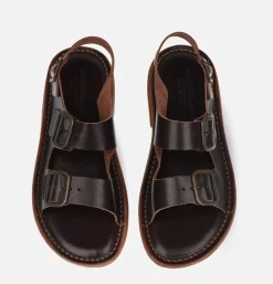 Homme ASTORFLEX Sandales<Sandales Jettyflex Caffe